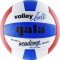 Волейбольний м'яч Gala Academy (арт. BV5181S)