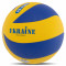 Волейбольний м'яч Ukraine (арт. VB-7300)
