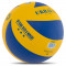 Волейбольный мяч Ukraine (арт. VB-7300)