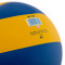 Волейбольний м'яч Ukraine (арт. VB-7300)