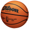 Баскетбольний м'яч Wilson Evo NXT Africa Champions League FIBA (розмір 7)