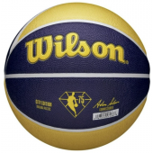 Баскетбольный мяч Wilson NBA Team Pacers (размер 7) WZ4003912XB7