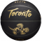 Баскетбольний м'яч Wilson NBA Team Toronto (розмір 7) WZ4003928XB7