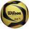 Волейбольный мяч Wilson AVP ARX Official (профессиональная модель)