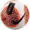 Футбольний м'яч Nike Campo Pitch 2024 FB2978-101 (розмір 5)
