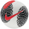 Футбольный мяч Nike Campo Pitch 2024 FB2978-100 (размер 5)