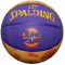 Баскетбольний м'яч Spalding Space Jam Tune Squad (розмір 7) 84595Z