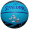 Баскетбольний м'яч Spalding Space Jam Tune Squad (розмір 7) 84598Z