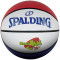 Баскетбольний м'яч Spalding Space Jam Tune Squad (розмір 7) 84687Z