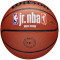 Баскетбольный мяч Wilson JR NBA FAM LOGO INDOOR OUTDOOR (размер 5) WZ2009801XB5