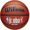 Баскетбольный мяч Wilson JR NBA FAM LOGO INDOOR OUTDOOR (размер 5) WZ2009801XB5