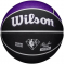 Баскетбольний м'яч Wilson NBA Team SAC KINGS (розмір 7) WZ4003926XB7