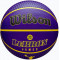 Баскетбольный мяч Wilson NBA PLAYER ICON OUTDOOR BSKT LEBRON NE (размер 7) WZ4027601XB7