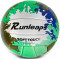 Волейбольный мяч Runleaps Green Blue Зеленый-Синий (размер 5) Runleaps GB