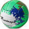 Волейбольный мяч Runleaps Green Blue Зеленый-Синий (размер 5) Runleaps GB