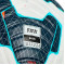 Мяч для футбола Nike Club Elite 2025 FZ2986-100 (профессиональный мяч)