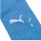 Гетры Puma Team Liga Stirrup Socks Core (синие) 703439-02