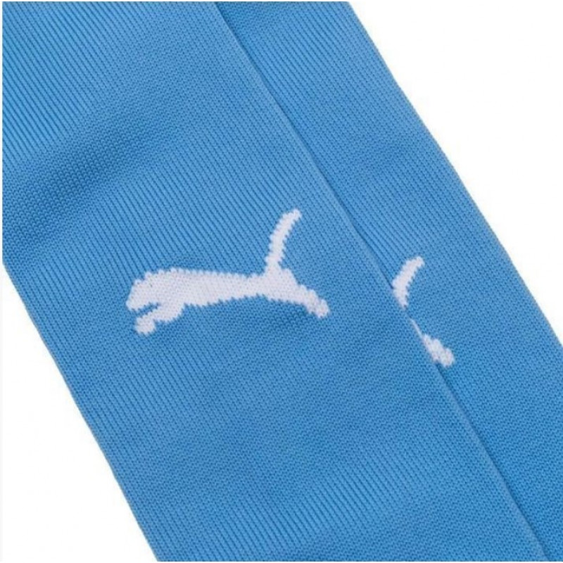 Гетры Puma Team Liga Stirrup Socks Core (синие) 703439-02-1