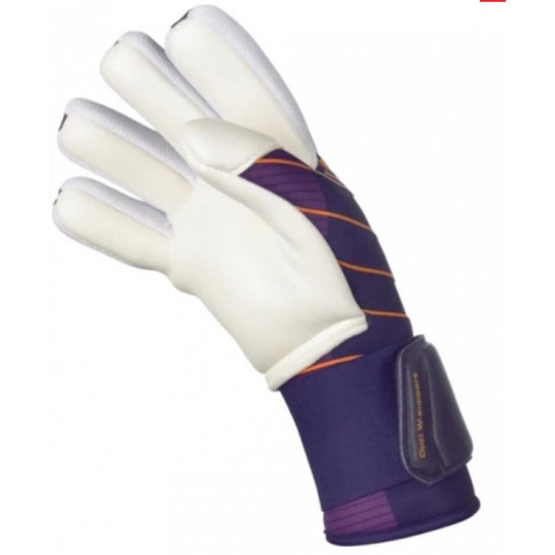 Рукавички воротарські Select Goalkeeper Gloves 88 Kids v24 фіолетовий, білий Дит 602881-990-3