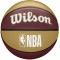 Баскетбольний м'яч Wilson NBA Team Tribute WZ4011601XB7 (розмір 7)