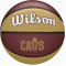 Баскетбольний м'яч Wilson NBA Team Tribute WZ4011601XB7 (розмір 7)