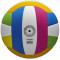 Волейбольный мяч Wilson Pro Tour Vb Multicolor Of (размер 5) WV2000504XBOF