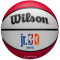 Баскетбольний м'яч Wilson JR NBA Wnby Drv Lijht (розмір 5) WZ3022001XB5