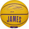 Баскетбольний м'яч Wilson Nba Player Icon Mini Bskt Lebron (розмір 3) WZ4007201XB3