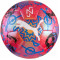 М`яч футбольний Puma Neymar Jr Graphic червоний, синій Уні (розмір 5) 084882-01-5