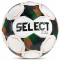 Мяч для футзала Select Futsal Planet (FIFA Basic) v26 103347-005 (размер 4) бело-зелёный