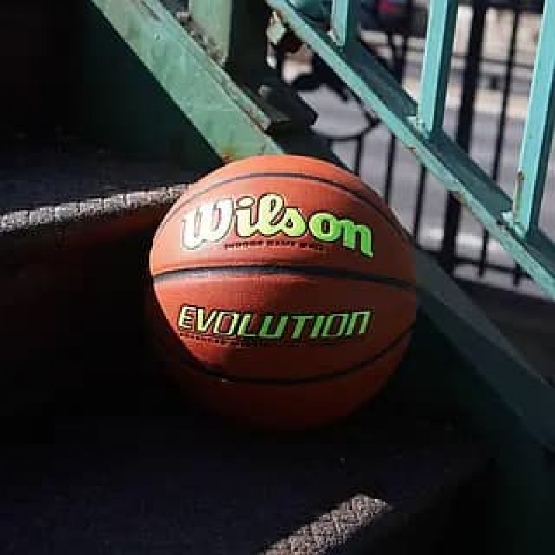 Мяч баскетбольный Wilson Evolution (размер 7) WTB0595XB0703-1