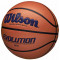 Баскетбольний м'яч Wilson Evolution (розмір 7) WTB0595XB0702