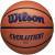 Баскетбольний м'яч Wilson Evolution (розмір 7) WTB0595XB0702