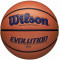 Баскетбольний м'яч Wilson Evolution (розмір 7) WTB0595XB0702