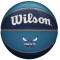 Баскетбольний м'яч Wilson Nba Team Tribute Char Hornets (розмір 7) WTB1300XBCHA