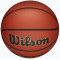 Баскетбольний м'яч Wilson Reaction Pro Дитячий  (розмір 5) WZ2026601XB5