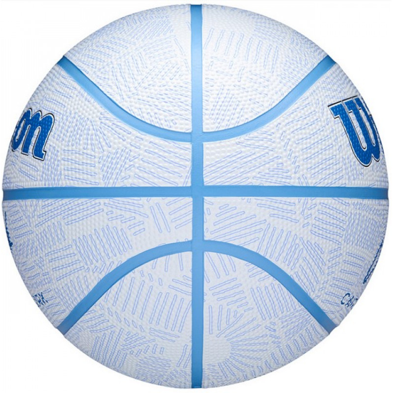 Баскетбольний м'яч Wilson Cc Envision Bskt Дитячий (розмір 5) WZ3022401XB5-3
