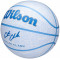 Баскетбольний м'яч Wilson Cc Envision Bskt Дитячий (розмір 5) WZ3022401XB5
