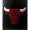 Баскетбольний м'яч Wilson Nba Team Premiere Bskt Chi Bulls Уні (розмір 7) WZ4026405XB7