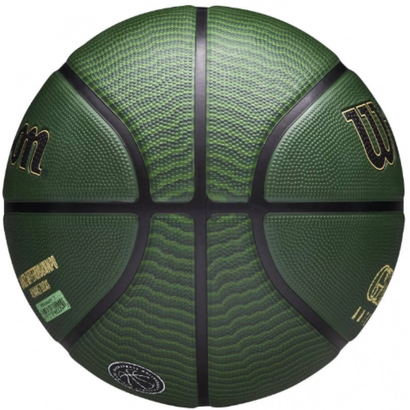 Баскетбольный мяч Wilson NBA PLAYER ICON OUTDOOR BSKT GIANNIS (размер 7) WZ4006201XB7-1