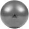 Фитбол Adidas Gymball серый Уни (диаметр 55 см) ADBL-11245GR
