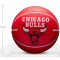 Баскетбольный мяч Wilson NBA Dribbler Chicago Bulls WTB1100PDQCHI (размер1)
