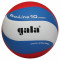 Волейбольний м'яч Gala Pro-Line BV5581S (Професійна модель)