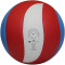 Волейбольний м'яч Gala Training BV5567S (Тренувальна модель)