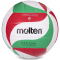 Волейбольний м'яч Molten V5M1500-SH +подарунок