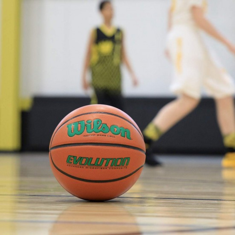 Баскетбольный мяч Wilson Evolution (размер 7) WTB0595XB0701-4