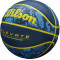 Баскетбольный мяч Wilson Elevate (размер 7)