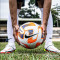 М'яч для футболу Nike Academy Team 2023 розмір 5 (арт. DN3599-102)