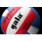 Волейбольный мяч Gala Pro-Line BV4051S