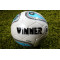 Мяч для футбола Winner Lenz FIFA Approved (бело-синий)